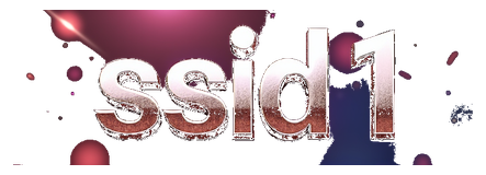 ssid1 logo